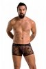 Casmir 032 SHORT JAMES black - Passion